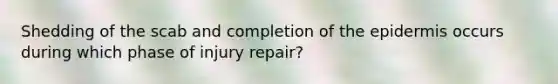 Shedding of the scab and completion of <a href='https://www.questionai.com/knowledge/kBFgQMpq6s-the-epidermis' class='anchor-knowledge'>the epidermis</a> occurs during which phase of injury repair?