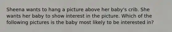 Sheena wants to hang a picture above her baby's crib. She wants her baby to show interest in the picture. Which of the following pictures is the baby most likely to be interested in?