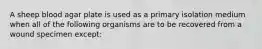 A sheep blood agar plate is used as a primary isolation medium when all of the following organisms are to be recovered from a wound specimen except: