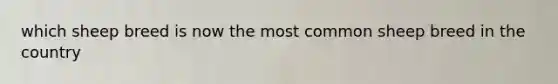 which sheep breed is now the most common sheep breed in the country