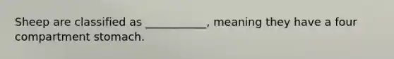 Sheep are classified as ___________, meaning they have a four compartment stomach.