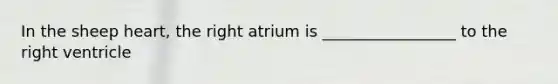 In the sheep heart, the right atrium is _________________ to the right ventricle