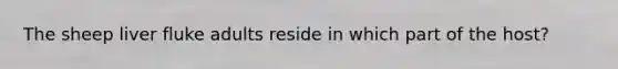 The sheep liver fluke adults reside in which part of the host?