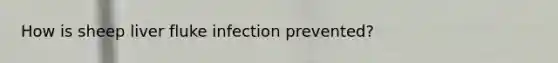 How is sheep liver fluke infection prevented?