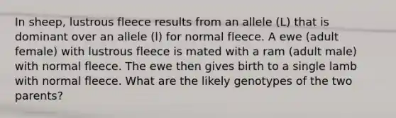 In sheep, lustrous fleece results from an allele (L) that is dominant over an allele (l) for normal fleece. A ewe (adult female) with lustrous fleece is mated with a ram (adult male) with normal fleece. The ewe then gives birth to a single lamb with normal fleece. What are the likely genotypes of the two parents?