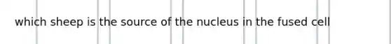 which sheep is the source of the nucleus in the fused cell