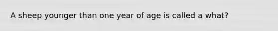 A sheep younger than one year of age is called a what?