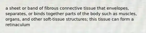 a sheet or band of fibrous connective tissue that envelopes, separates, or binds together parts of the body such as muscles, organs, and other soft-tissue structures; this tissue can form a retinaculum