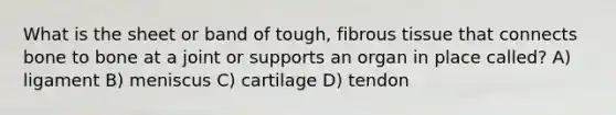 What is the sheet or band of tough, fibrous tissue that connects bone to bone at a joint or supports an organ in place called? A) ligament B) meniscus C) cartilage D) tendon