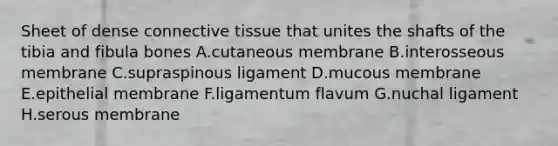 Sheet of dense connective tissue that unites the shafts of the tibia and fibula bones A.cutaneous membrane B.interosseous membrane C.supraspinous ligament D.mucous membrane E.epithelial membrane F.ligamentum flavum G.nuchal ligament H.serous membrane