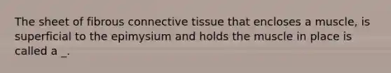 The sheet of fibrous connective tissue that encloses a muscle, is superficial to the epimysium and holds the muscle in place is called a _.