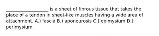 ___________________ is a sheet of fibrous tissue that takes the place of a tendon in sheet-like muscles having a wide area of attachment. A.) fascia B.) aponeurosis C.) epimysium D.) perimysium