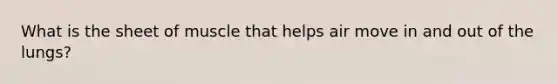 What is the sheet of muscle that helps air move in and out of the lungs?