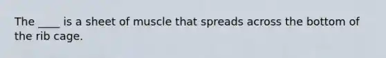 The ____ is a sheet of muscle that spreads across the bottom of the rib cage.