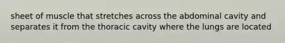 sheet of muscle that stretches across the abdominal cavity and separates it from the thoracic cavity where the lungs are located