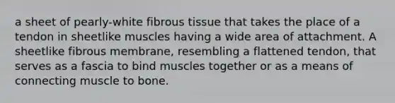 a sheet of pearly-white fibrous tissue that takes the place of a tendon in sheetlike muscles having a wide area of attachment. A sheetlike fibrous membrane, resembling a flattened tendon, that serves as a fascia to bind muscles together or as a means of connecting muscle to bone.