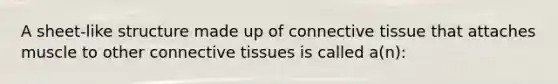 A sheet-like structure made up of connective tissue that attaches muscle to other connective tissues is called a(n):