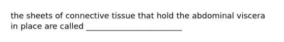 the sheets of connective tissue that hold the abdominal viscera in place are called ________________________