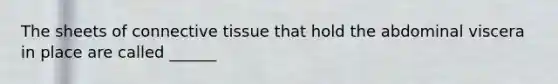 The sheets of connective tissue that hold the abdominal viscera in place are called ______