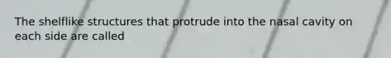 The shelflike structures that protrude into the nasal cavity on each side are called