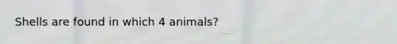 Shells are found in which 4 animals?