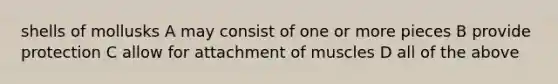 shells of mollusks A may consist of one or more pieces B provide protection C allow for attachment of muscles D all of the above