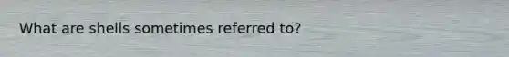 What are shells sometimes referred to?