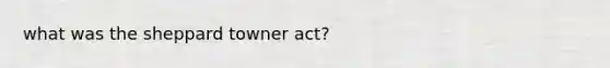 what was the sheppard towner act?