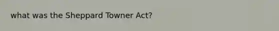 what was the Sheppard Towner Act?