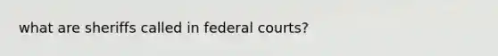 what are sheriffs called in federal courts?