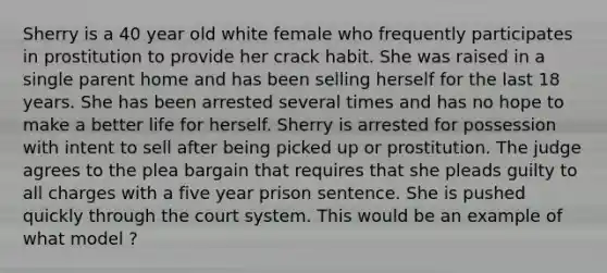 Sherry is a 40 year old white female who frequently participates in prostitution to provide her crack habit. She was raised in a single parent home and has been selling herself for the last 18 years. She has been arrested several times and has no hope to make a better life for herself. Sherry is arrested for possession with intent to sell after being picked up or prostitution. The judge agrees to the plea bargain that requires that she pleads guilty to all charges with a five year prison sentence. She is pushed quickly through the court system. This would be an example of what model ?