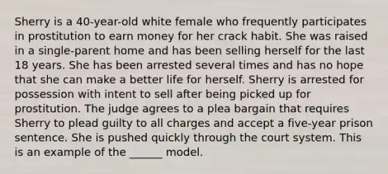 Sherry is a 40-year-old white female who frequently participates in prostitution to earn money for her crack habit. She was raised in a single-parent home and has been selling herself for the last 18 years. She has been arrested several times and has no hope that she can make a better life for herself. Sherry is arrested for possession with intent to sell after being picked up for prostitution. The judge agrees to a plea bargain that requires Sherry to plead guilty to all charges and accept a five-year prison sentence. She is pushed quickly through the court system. This is an example of the ______ model.