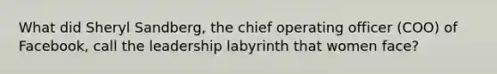 What did Sheryl Sandberg, the chief operating officer (COO) of Facebook, call the leadership labyrinth that women face?