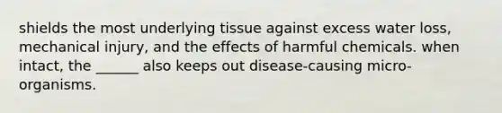 shields the most underlying tissue against excess water loss, mechanical injury, and the effects of harmful chemicals. when intact, the ______ also keeps out disease-causing micro-organisms.