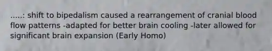 .....: shift to bipedalism caused a rearrangement of cranial blood flow patterns -adapted for better brain cooling -later allowed for significant brain expansion (Early Homo)