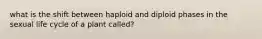 what is the shift between haploid and diploid phases in the sexual life cycle of a plant called?