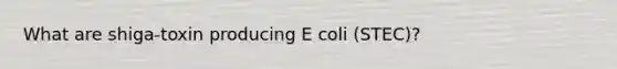 What are shiga-toxin producing E coli (STEC)?