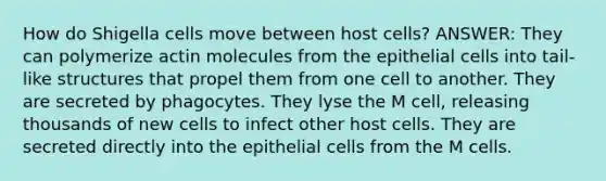 How do Shigella cells move between host cells? ANSWER: They can polymerize actin molecules from the epithelial cells into tail-like structures that propel them from one cell to another. They are secreted by phagocytes. They lyse the M cell, releasing thousands of new cells to infect other host cells. They are secreted directly into the epithelial cells from the M cells.