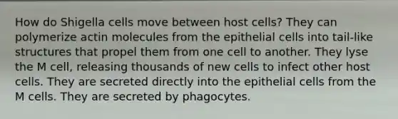 How do Shigella cells move between host cells? They can polymerize actin molecules from the epithelial cells into tail-like structures that propel them from one cell to another. They lyse the M cell, releasing thousands of new cells to infect other host cells. They are secreted directly into the epithelial cells from the M cells. They are secreted by phagocytes.