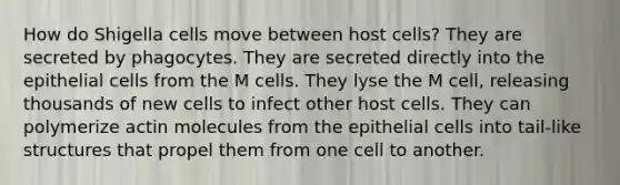 How do Shigella cells move between host cells? They are secreted by phagocytes. They are secreted directly into the epithelial cells from the M cells. They lyse the M cell, releasing thousands of new cells to infect other host cells. They can polymerize actin molecules from the epithelial cells into tail-like structures that propel them from one cell to another.