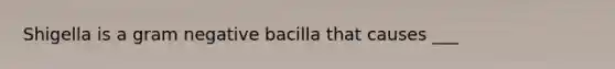 Shigella is a gram negative bacilla that causes ___