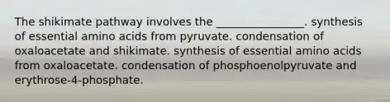 The shikimate pathway involves the ________________. synthesis of essential amino acids from pyruvate. condensation of oxaloacetate and shikimate. synthesis of essential amino acids from oxaloacetate. condensation of phosphoenolpyruvate and erythrose-4-phosphate.