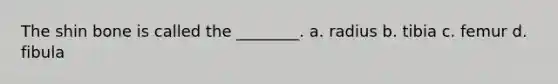 The shin bone is called the ________. a. radius b. tibia c. femur d. fibula