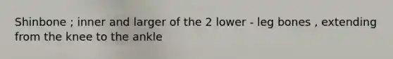 Shinbone ; inner and larger of the 2 lower - leg bones , extending from the knee to the ankle