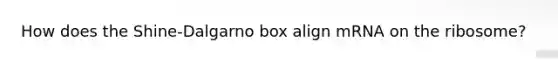 How does the Shine-Dalgarno box align mRNA on the ribosome?