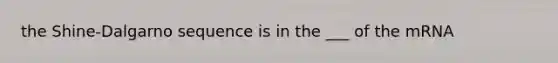 the Shine-Dalgarno sequence is in the ___ of the mRNA