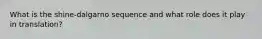 What is the shine-dalgarno sequence and what role does it play in translation?