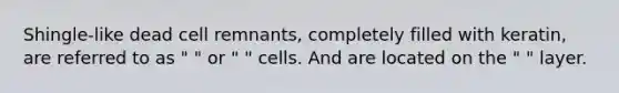 Shingle-like dead cell remnants, completely filled with keratin, are referred to as " " or " " cells. And are located on the " " layer.