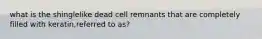 what is the shinglelike dead cell remnants that are completely filled with keratin,referred to as?