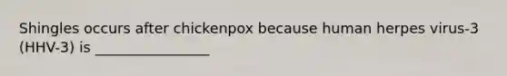 Shingles occurs after chickenpox because human herpes virus-3 (HHV-3) is ________________